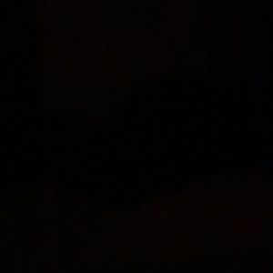 Meet your Posher, Bridget